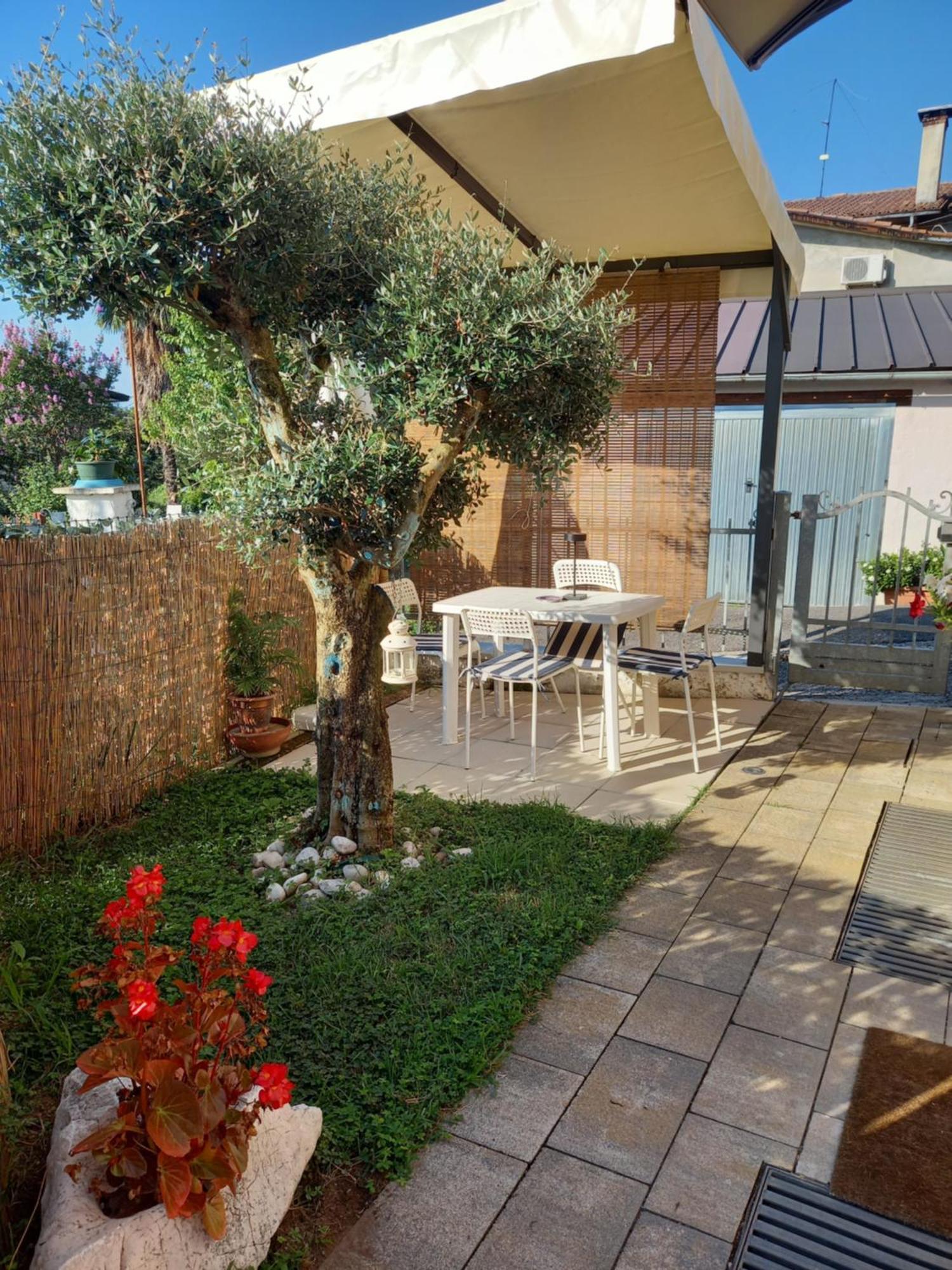 Appartamento Regina Borso del Grappa Esterno foto